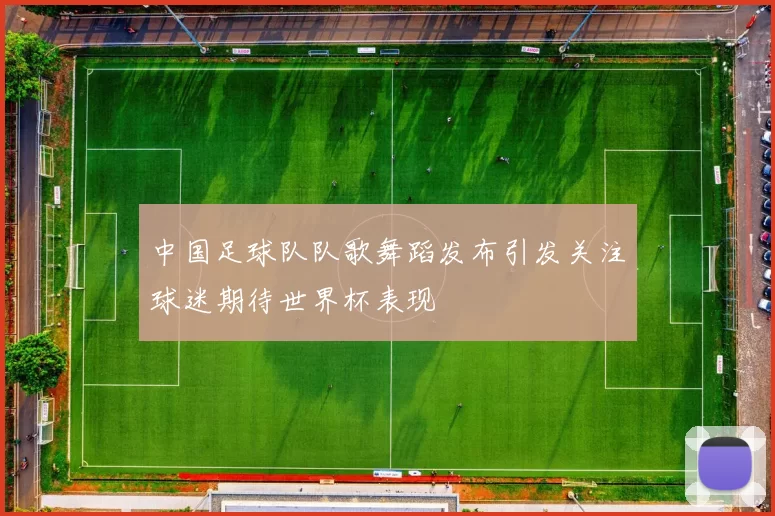 中国足球队队歌舞蹈发布引发关注球迷期待世界杯表现