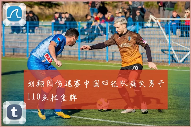 刘翔因伤退赛中国田径队痛失男子110米栏金牌