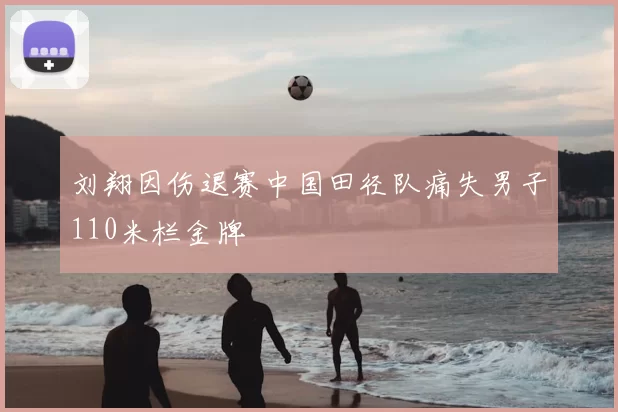 刘翔因伤退赛中国田径队痛失男子110米栏金牌